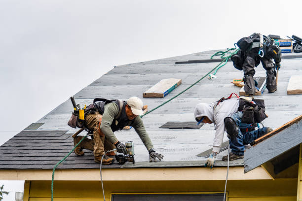 Professional Gutter Installation technician working in Elizabeth, MN